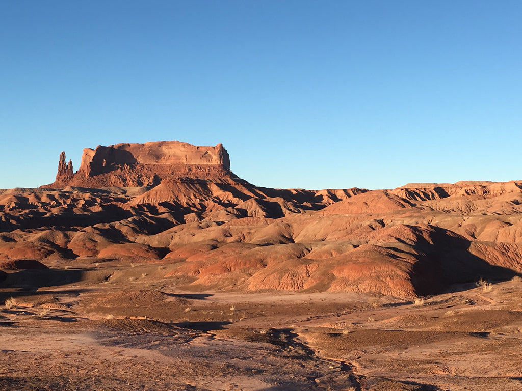 Navajo Land, copyright Raven Makes Gallery