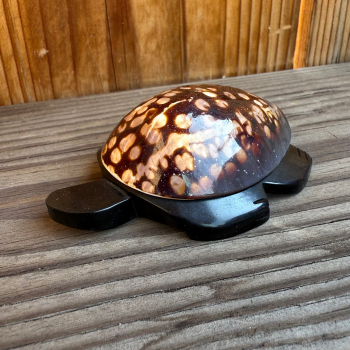 Jet Turtle Fetish with Sea Shell, by Amos Pooacha