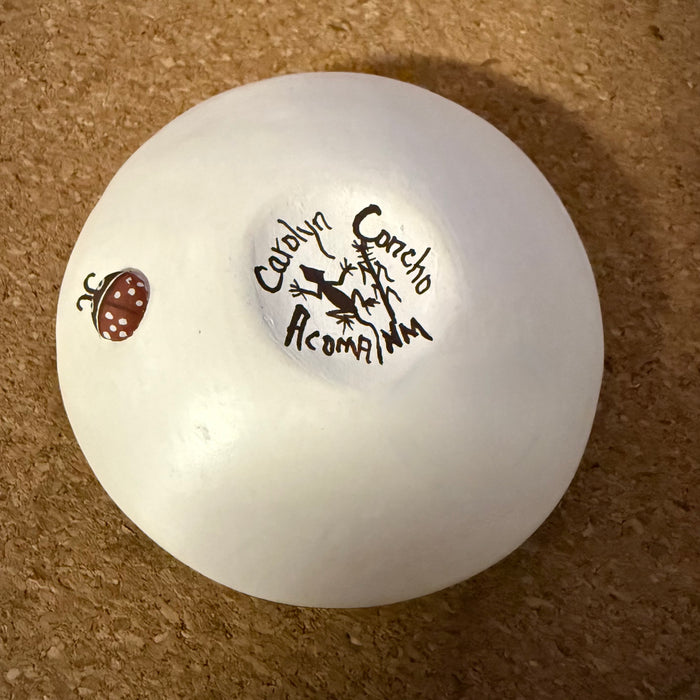 Rabbit and Butterfly Acoma Seed Pot, by Carolyn Concho