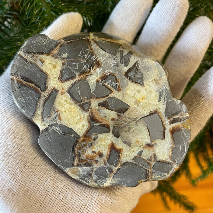 Zuni Frog Fetish, Septarian Nodule, by Jayne and Lynn Quam