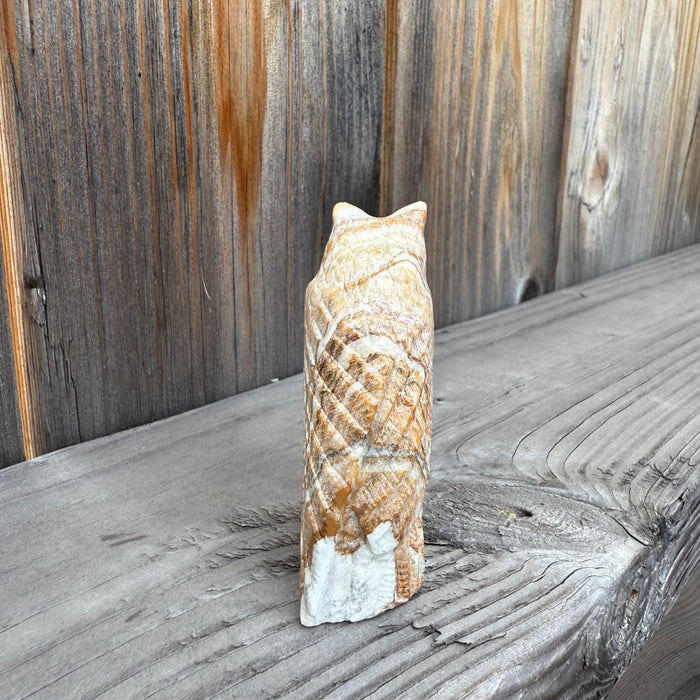 Mexican Onyx Owl Fetish, by Derrick Kaamasee