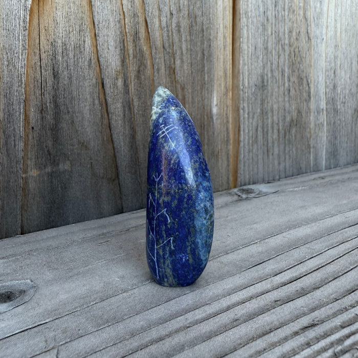 Blue Corn Little Maiden Zuni Fetish, by Todd Westika