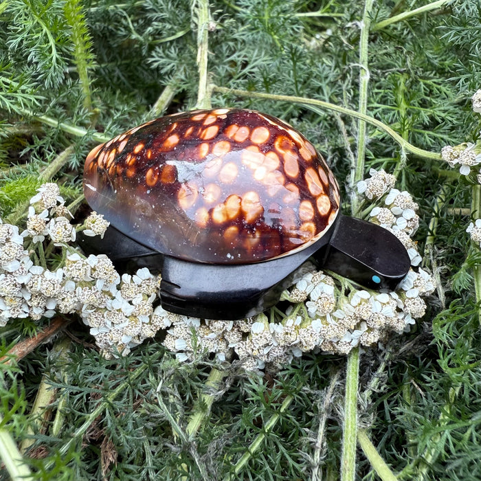 Jet Turtle Fetish with Sea Shell, by Amos Pooacha