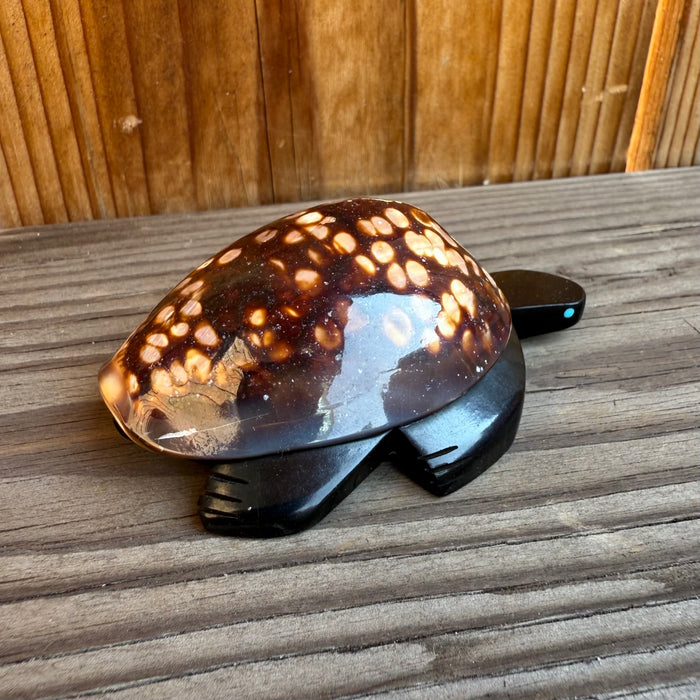 Jet Turtle Fetish with Sea Shell, by Amos Pooacha