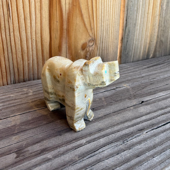 White and Brown Bear, by Todd Etsate
