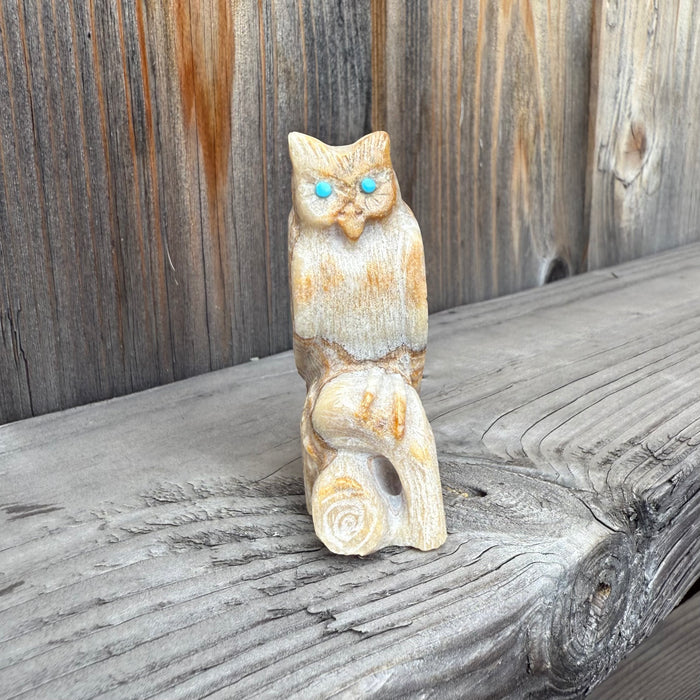 Mexican Onyx Owl Fetish, by Derrick Kaamasee