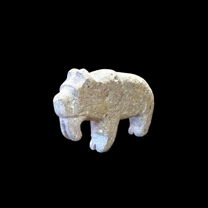 Smilodon Sabre Tooth Fetish, by Salvador Romero