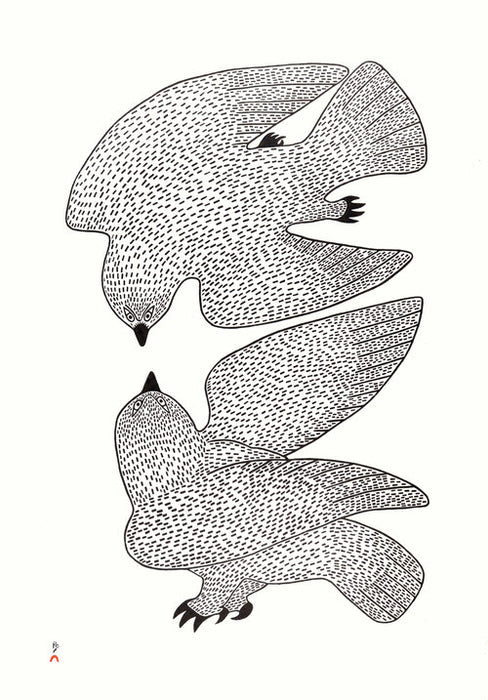 Sparring Owls Cape Dorset Print, 2017