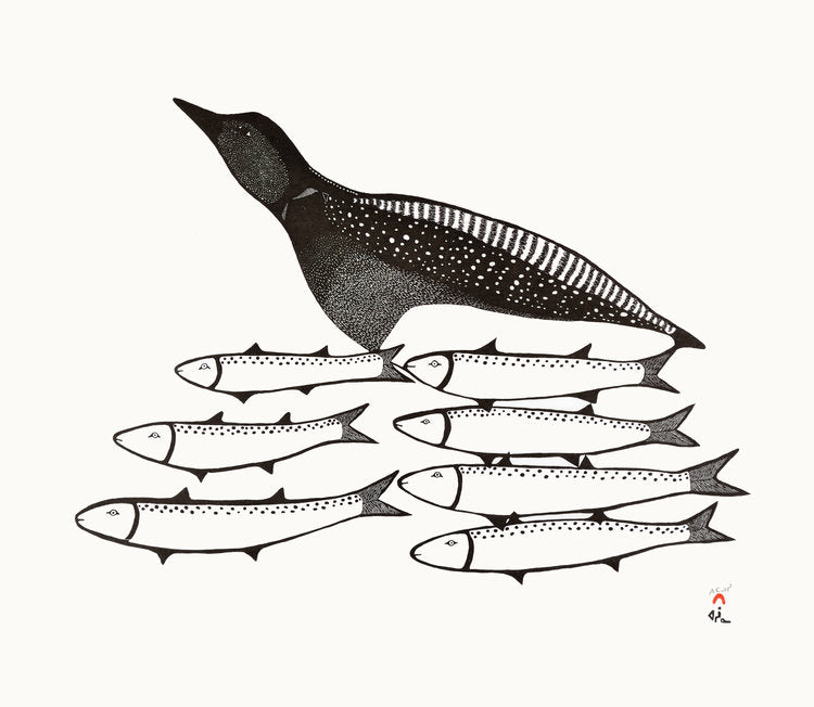 Loon and Char Cape Dorset Print