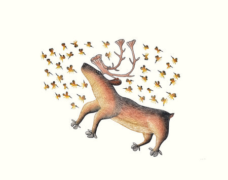 Summer Buzz Cape Dorset Print