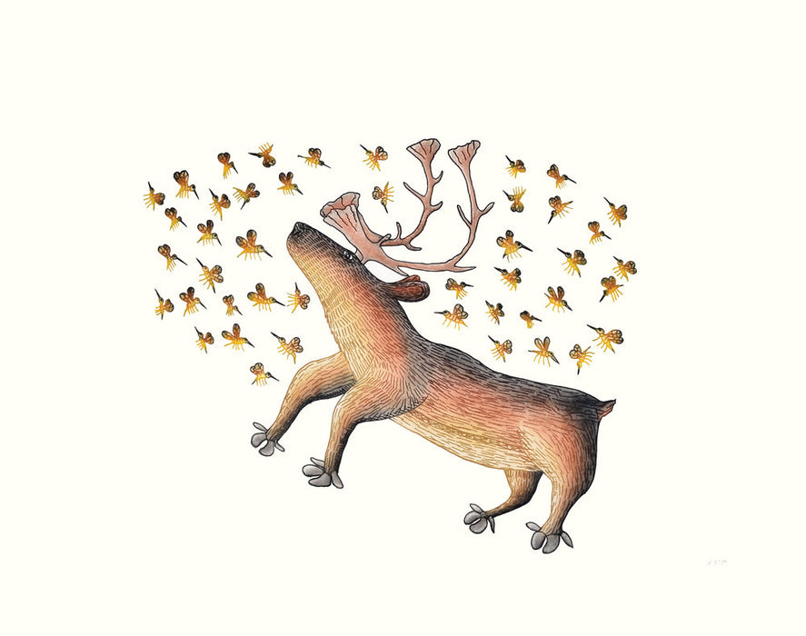 Summer Buzz Cape Dorset Print