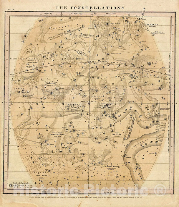 Bright Teeth and The Great Bear, 1856 Celestial Map, by Julia Arriola
