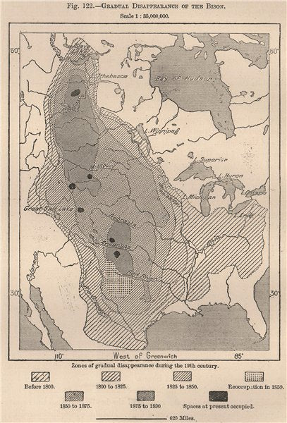 Life, 1885 Gradual Disappearance of the Bison, by George Curtis Levi, Southern Cheyenne, Arapaho