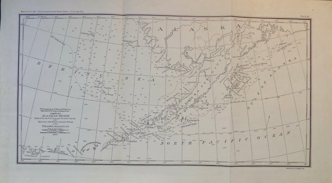 Beauty of the Ocean, 1892 Nautical Chart SW Alaska, Heather Johnston, Alutiiq