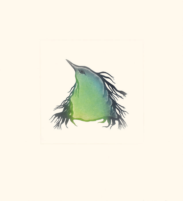 Cape Dorset 2020 Print, Fledgling, Pitaloosie Saila