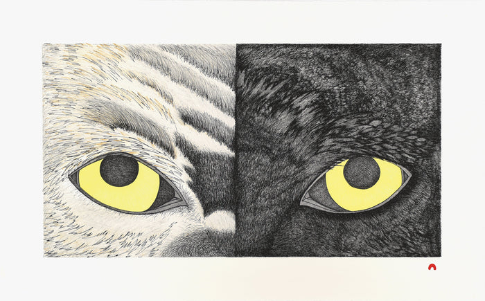 Northwest and Arctic Peoples Art
