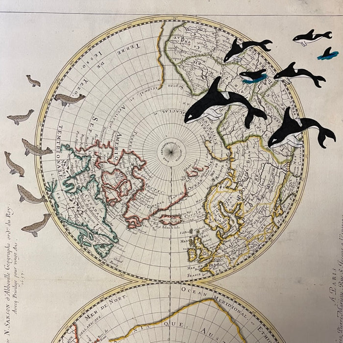 First to Arrive!, 1657 Polar Regions Map, by Heather Johnston