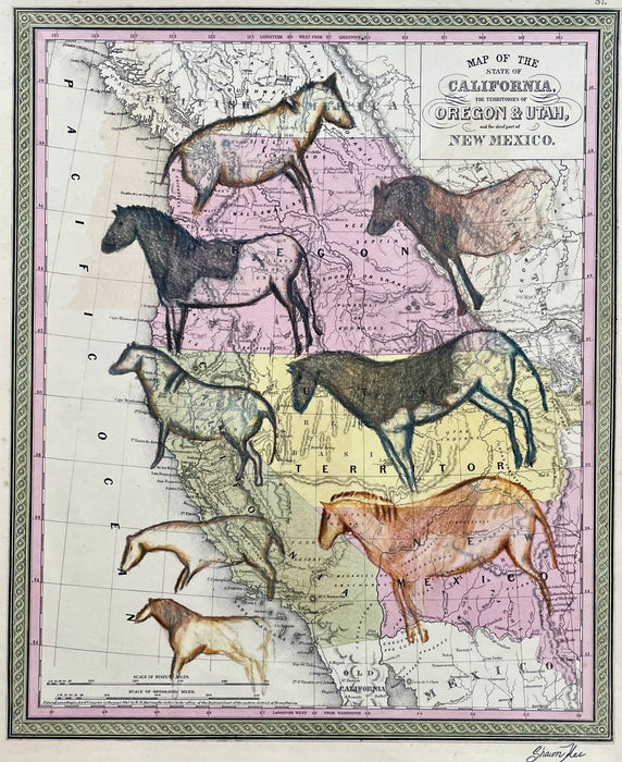 Ancient Herd, 1851 Map, by Shawn Kee, Navajo