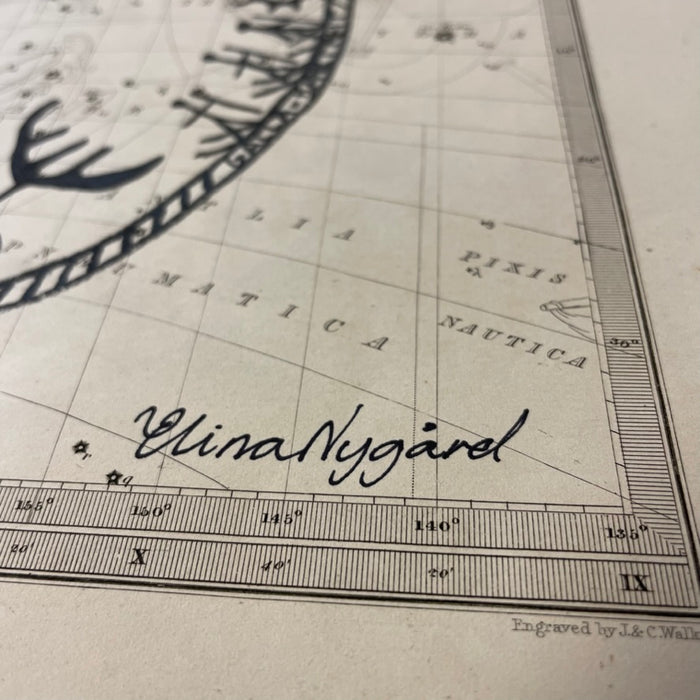 SÁRVA (Moose), 1844 Celestial Map, by Elina Nygard