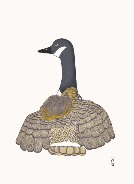 Inuit Art and Cape Dorset Art for Sale at Raven Makes Gallery