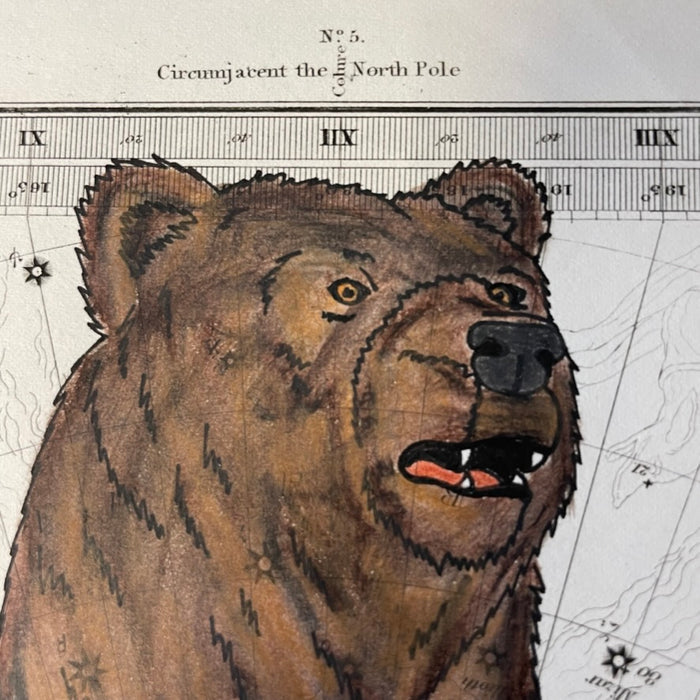 The Bear of the Sky, 1830 Celestial Map, by Heather Johnston Unanagan/Alutiiq