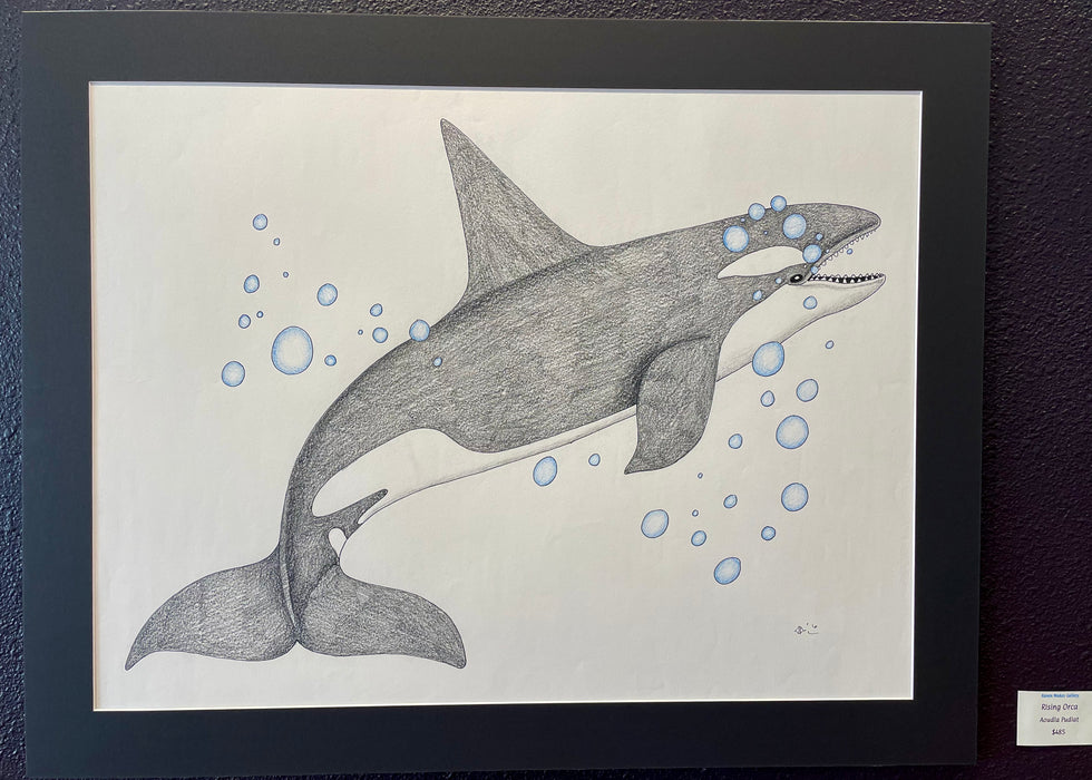 Rising Orca, by Aoudla Pudlat