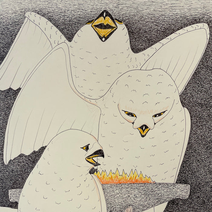 Owls Steal Kudlik, by Kananginak Pootoogook