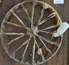 Red Horse Drum, by Al Good Strike