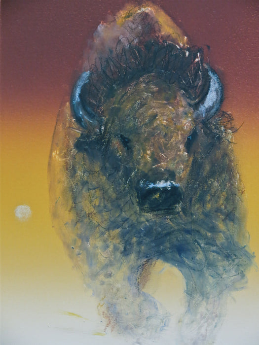 Spirit of Buffalo, by Raymond Nordwall