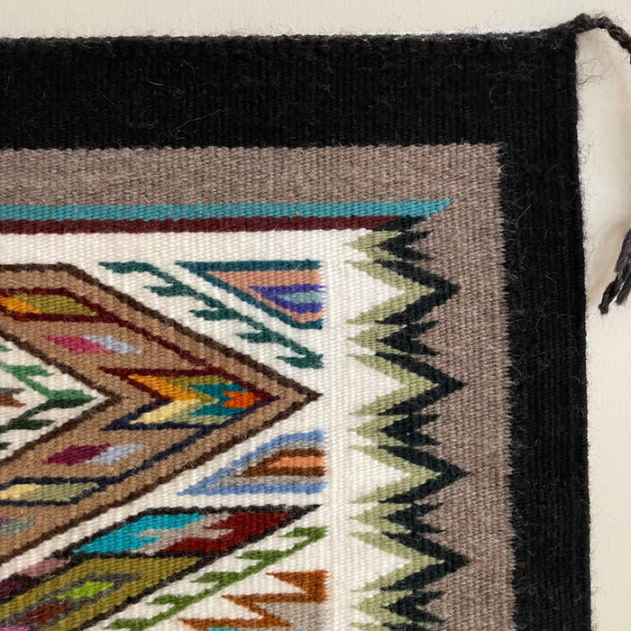 Teec Nos Pos Navajo Rug with Many Colors, by Bessie Littleben