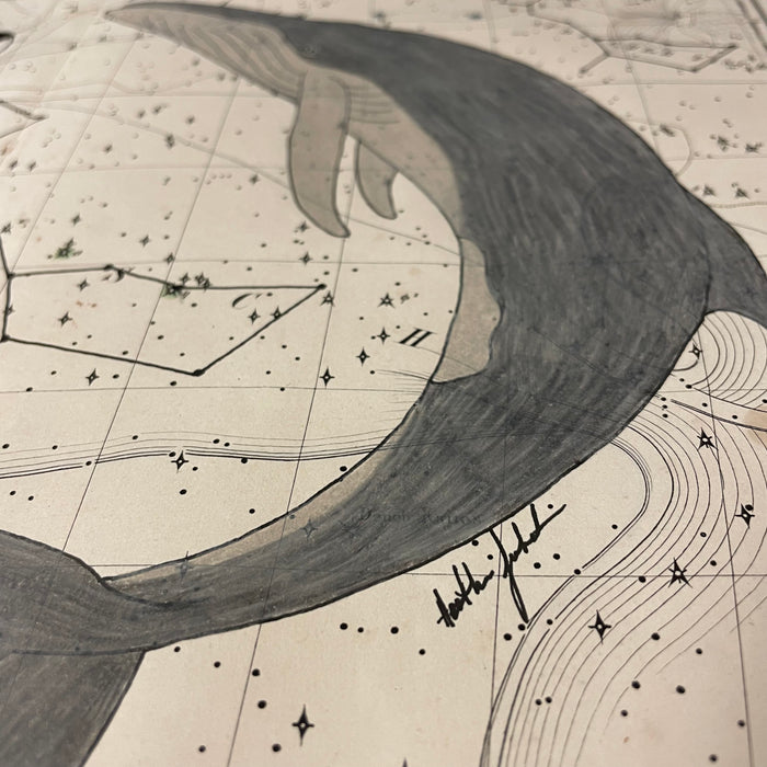 Celestial Sea, 1835 Celestial Map of Cetus (Whale), Heather Johnston, Alutiiq