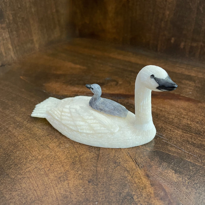 Trumpeter Swan with Cygnet, by Fred Mayac