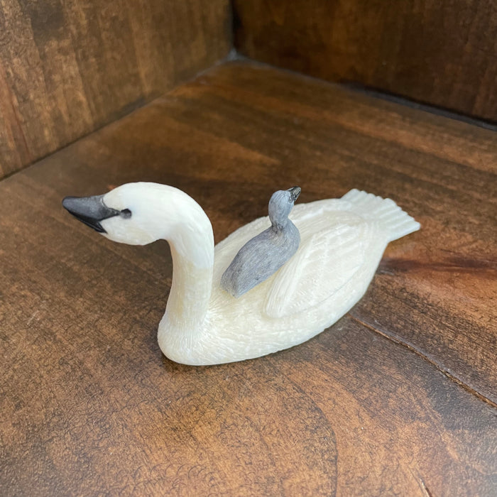 Trumpeter Swan with Cygnet, by Fred Mayac