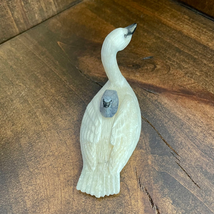 Trumpeter Swan with Cygnet, by Fred Mayac