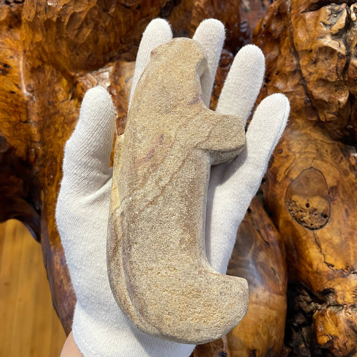 Old Style Stone Carving Mountain Lion Fetish, by Salvador Romero