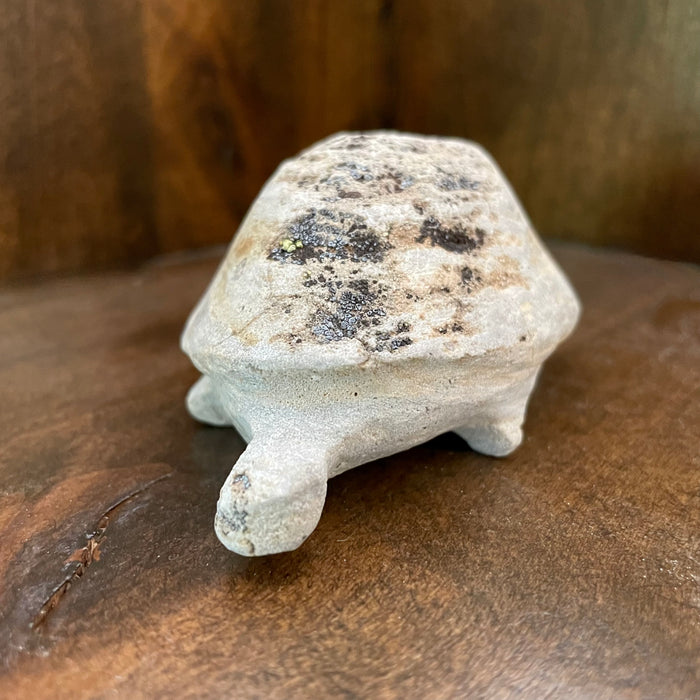 Oldest of All Turtle Fetish, by Salvador Romero