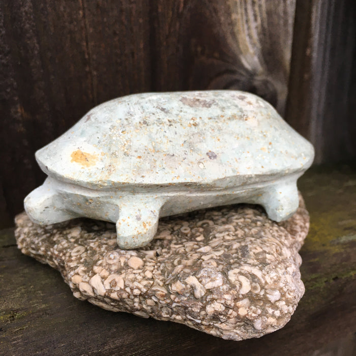 Turtle Stone Carving Fetish, by Salvador Romero