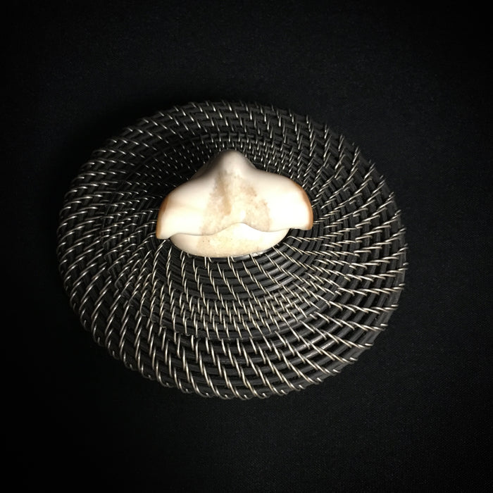 Silver and Baleen Basket with Walrus Ivory Finial, by Don Johnston