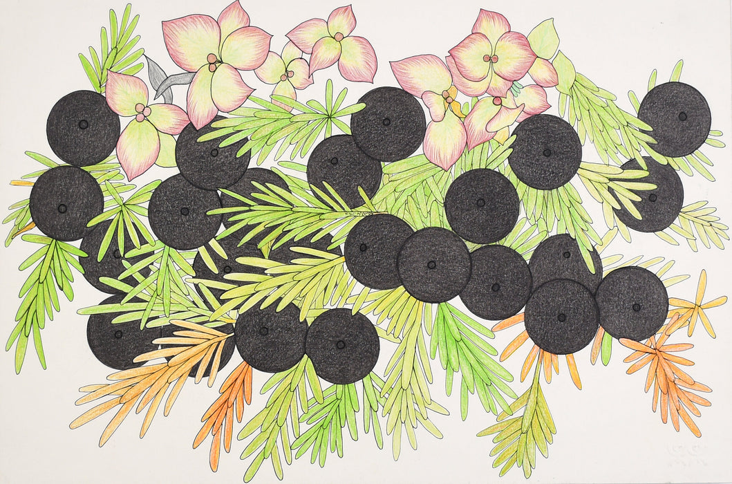 Crowberries, by Pudloo Samayualie
