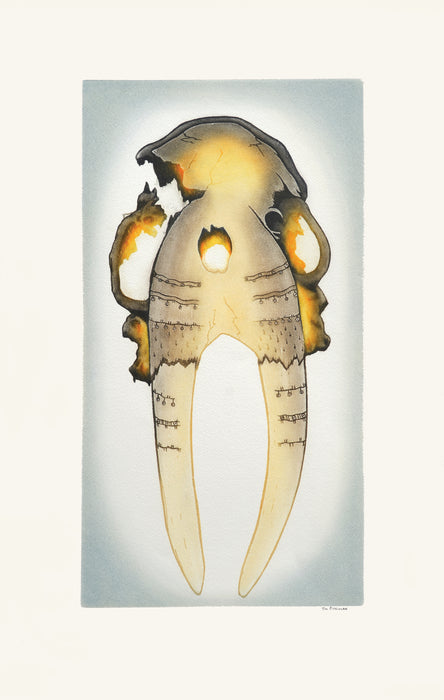 Ancient Walrus Skull, by Tim Pitsiulak