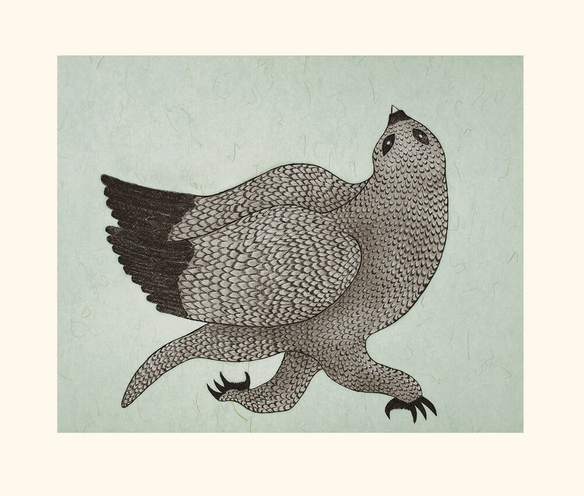 Cape Dorset Print Collection 2020