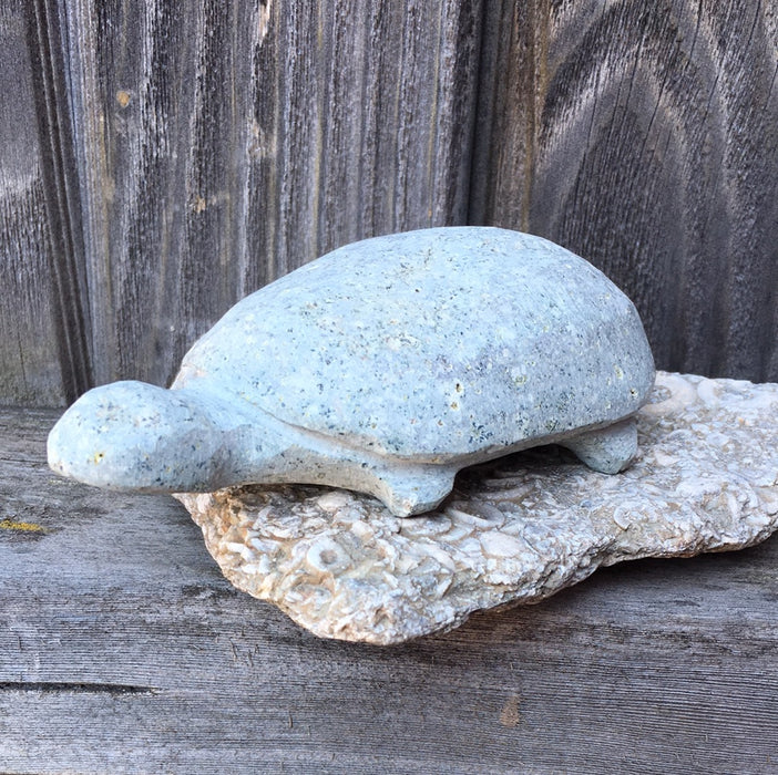 Turtle Stone Carving Fetish, by Salvador Romero