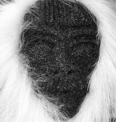 Fossilized Bone Mask, by George Apatiki